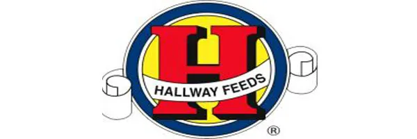 Hallway Feeds
